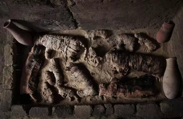 4500年前的埃及古墓被打開,發現幾十隻貓木乃伊和成堆聖甲蟲!