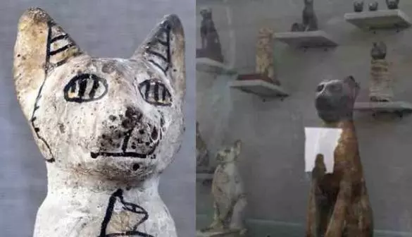 4500年前的埃及古墓被打開,發現幾十隻貓木乃伊和成堆聖甲蟲!