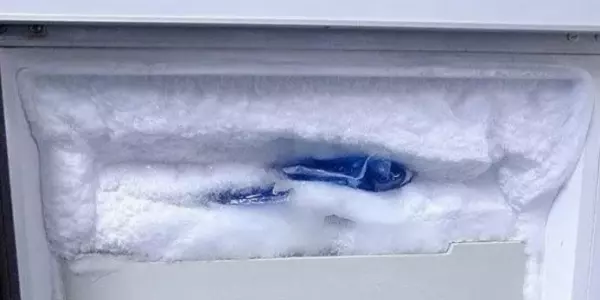 冰 箱 結 冰 厚 到 誇 張!只 要 這 一 招「直 接 脫 落 光」!超 後 悔 沒 早 點 學 起 來!