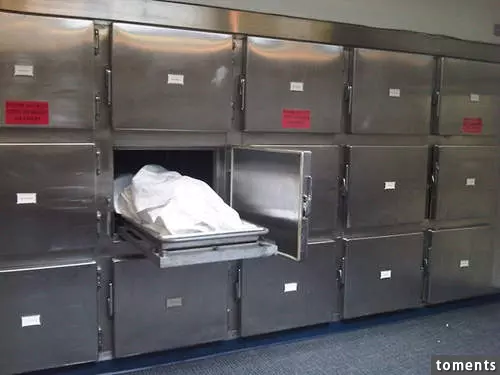 弟弟在生日當天「自殺」了,媽媽在停屍櫃前大聲哭喊,我卻突然發現弟弟死去的真相...瞬間我毛骨悚然,完全不敢直視!
