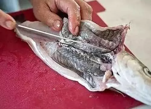 做魚時,魚身上這3個地方不能吃,不然魚肉不鮮腥味大
