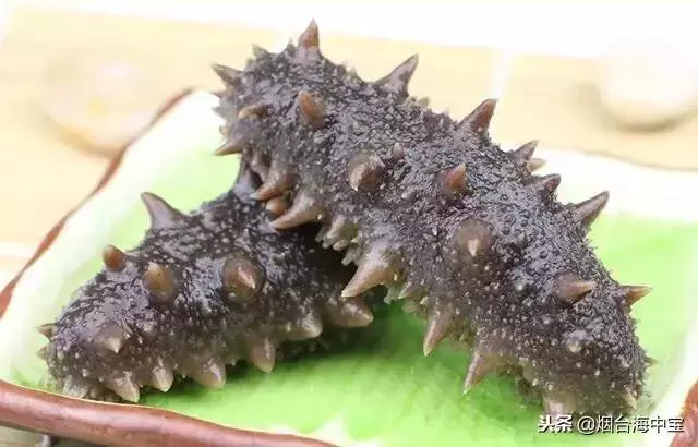 泡發海參時會掉顏色,還會掉渣?這些現象正常嗎?