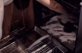 她睡前把「小蘇打」撒到家中多個角落裡,第二天起床看呆了!