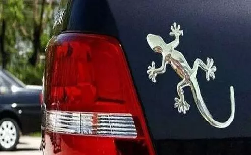 車尾上貼兩個壁虎你肯定不知道是什麼意思,車主:原來還有這含義呢