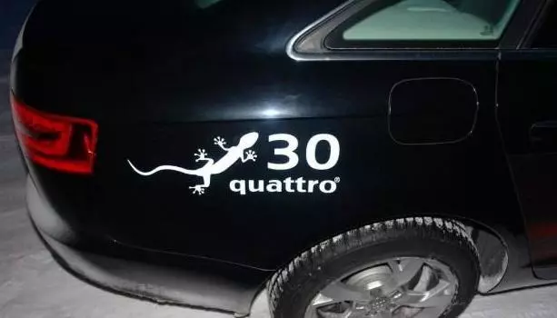 車尾上貼兩個壁虎你肯定不知道是什麼意思,車主:原來還有這含義呢