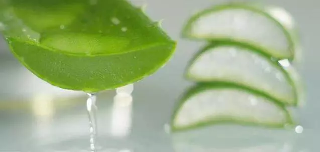 家有蘆薈的有福了,這八個藥理作用太厲害了,用過的都說好