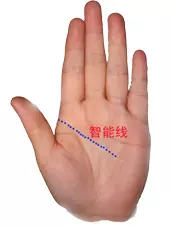 男左女右,教你手相看命,很準!