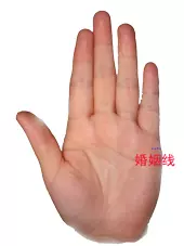 男左女右,教你手相看命,很準!
