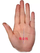 男左女右,教你手相看命,很準!