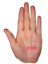 男左女右,教你手相看命,很準!