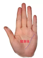 男左女右,教你手相看命,很準!