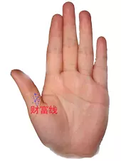 男左女右,教你手相看命,很準!