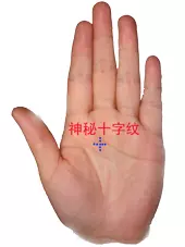 男左女右,教你手相看命,很準!