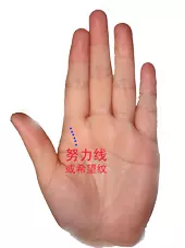 男左女右,教你手相看命,很準!