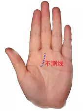 男左女右,教你手相看命,很準!