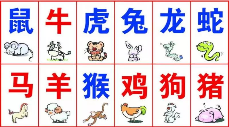 你屬什麼,個性就是什麼樣!好準,尤其是第 4項根本是在說我呀....