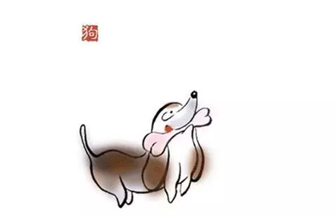 你屬什麼,個性就是什麼樣!好準,尤其是第 4項根本是在說我呀....