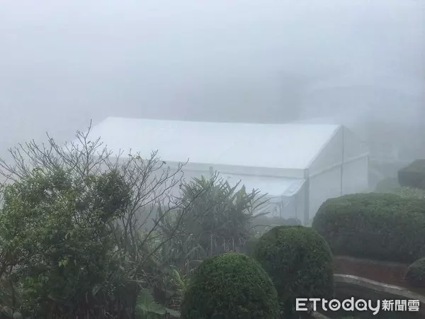 嚴凱泰低調悄悄下葬!入土為安「長眠於父母身旁」孝心感人,白綾帝王帳眾人不捨雨中送行!