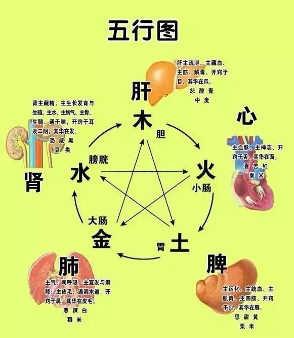 中醫基礎理論（精華版）