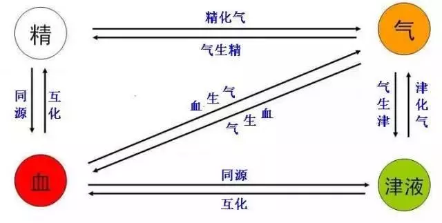中醫基礎理論（精華版）