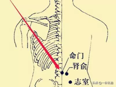 每天按摩這五大穴位,養生益壽