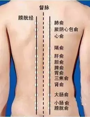拍百會、跺腳法、揉臍法,捏脊法,零成本治病痛!