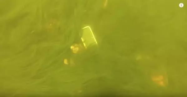 潛水撿到「泡水14天iPhone」,竟然沒壞一開機「滿滿的驚喜」,接下來神發展太扯了!