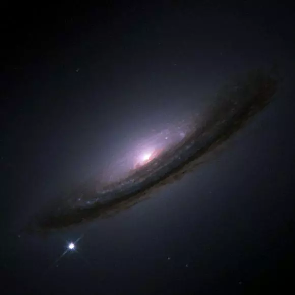 人類看到超新星變成黑洞或中子星的確切時刻