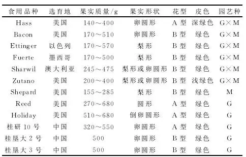 牛油果是2018年火爆網紅水果,適合哪些地方種植,如何種植?
