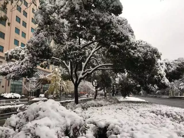 如何拍出照片的陌生感?靈感從何而來?