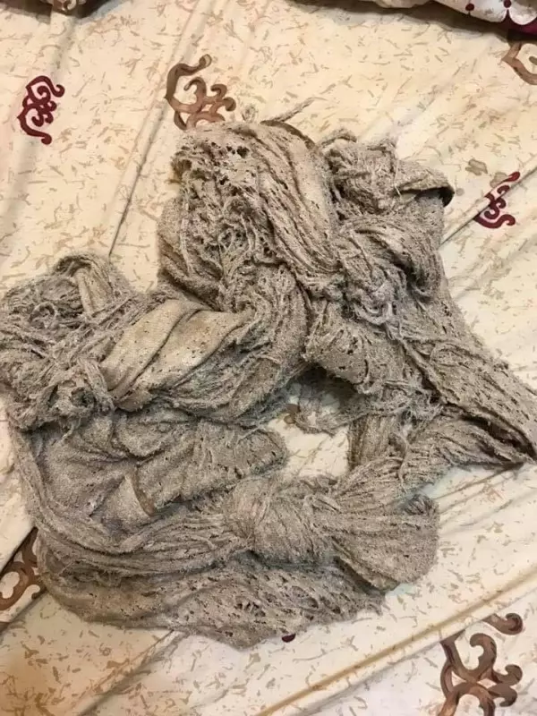 每個人睡覺時都有一些怪癖,其中一個就是「小被被」!男網友「神解釋」其中奧秘…讓人秒懂!