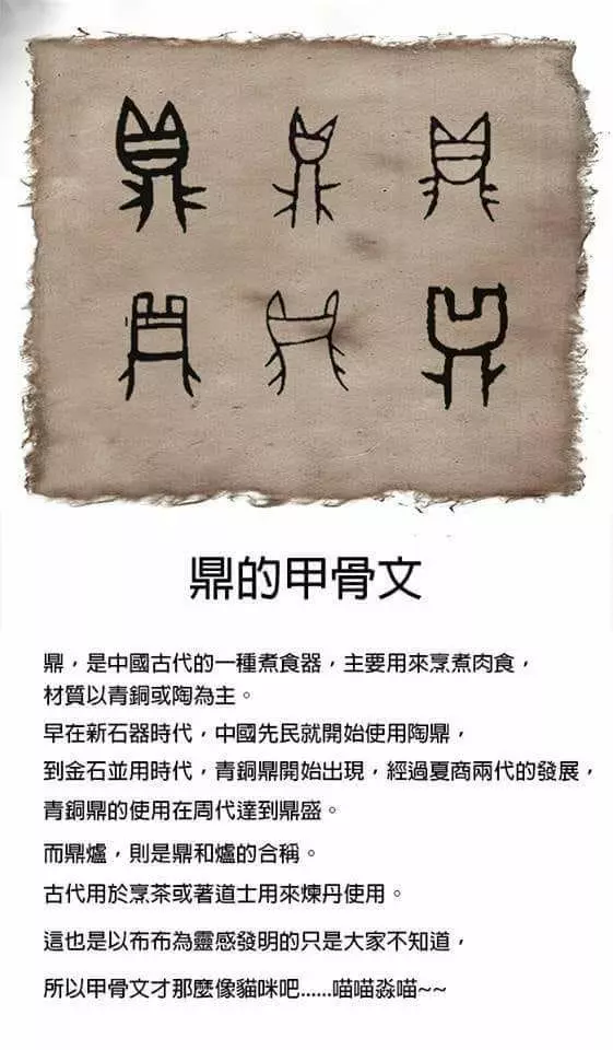 貓咪發現自己的貓爬架被拆了後,一臉苦悶,朕的豪宅沒了,哪表情實在太經典了