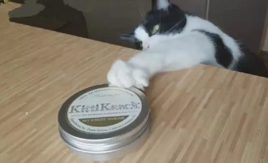 阿喵費盡心思好不容易弄到了貓薄荷,吸了一口之後畫面笑到淚奔