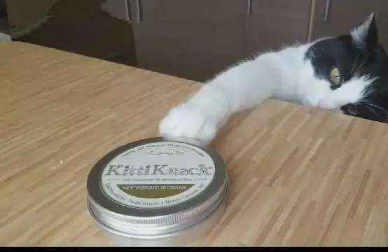 阿喵費盡心思好不容易弄到了貓薄荷,吸了一口之後畫面笑到淚奔