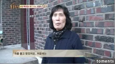 大嬸總是幫附近的貓準備糧食和小窩!結果感動的貓星人居然這樣「回報」她...!太可愛又太好笑啦!(有片)
