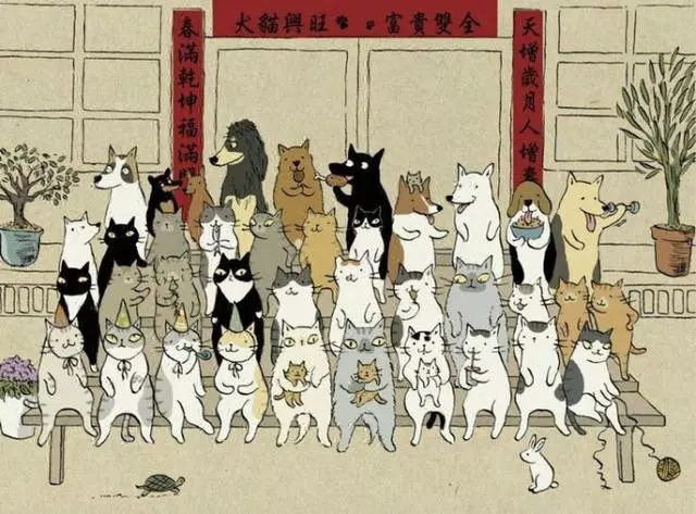 主人無奈地表示,最近每次做飯,家裡的貓咪都用這種眼神拷問他罐罐勒...壓力真的好大