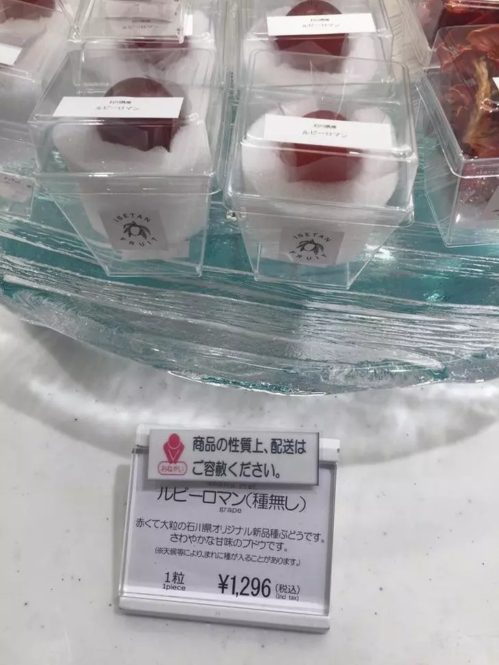 20張證明「世界已經超出你的想像」的驚人照片 蛇在地毯上無法爬動!