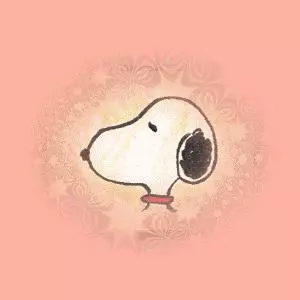 你只知道它就是「史努比」,卻不知它是歷經苦難的實驗犬