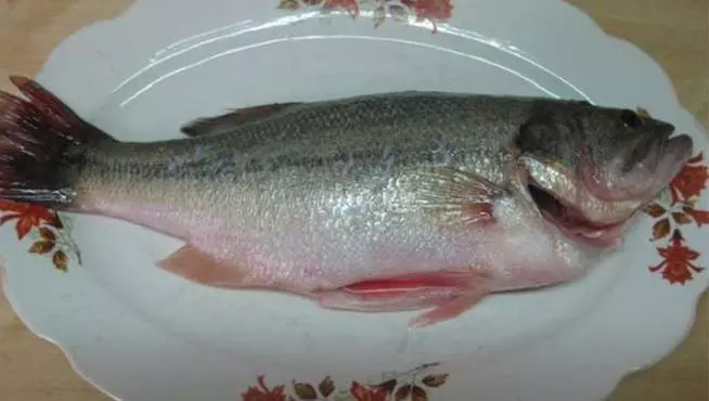 「蒸魚千萬別抹鹽」!用這招保證蒸好的魚沒腥味,而且鮮美無比!!