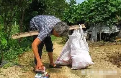 懷孕後母親給五萬,婆婆送袋野菜,嫌髒扔一邊,一周後打開墮了胎
