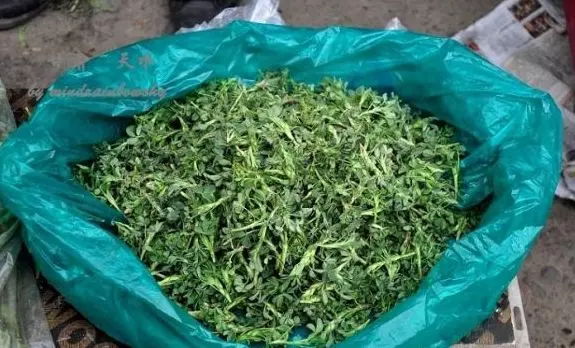懷孕後母親給五萬,婆婆送袋野菜,嫌髒扔一邊,一周後打開墮了胎
