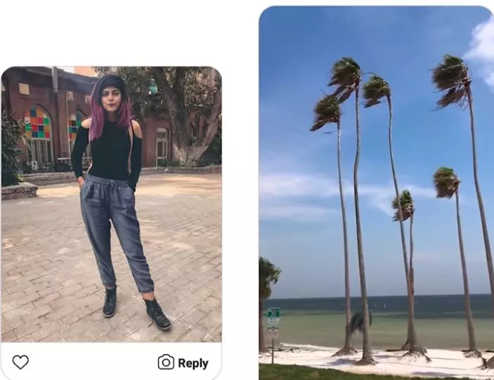 網友求神人幫P圖「讓我們看起來一樣高」...最終成果讓人笑噴：太不符合科學