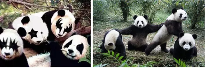 24張「中二轉大人」的反差照 rock情侶檔交往前後一比對...網笑：正常多了