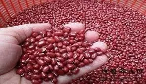 紅豆減肥食譜，消水腫、瘦腰、瘦大腿、瘦手臂！