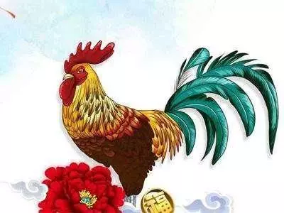 你身邊有屬雞的嗎?1957年,1969年,1981年的生肖雞,一生一世的命運