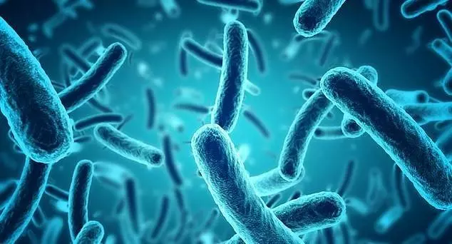 生命科學 | 中國人身上發現兩種新「抗生素耐藥菌」!或導致小感染即能致命_細菌