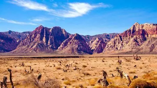 地球上最熱的五個地方!全球最熱第一名表面溫度高達71℃?!直接燒燙傷!