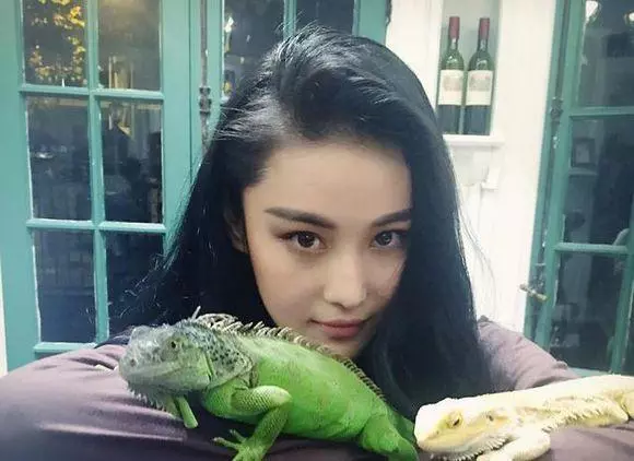 明星有錢太任性,養的寵物有點嚇人不說,還有人花800萬給狗整容