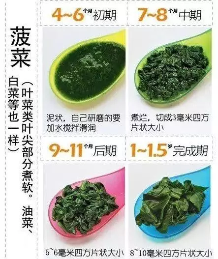 不同月齡寶寶,輔食適合吃什麼?營養專家支招:這樣做他更愛吃