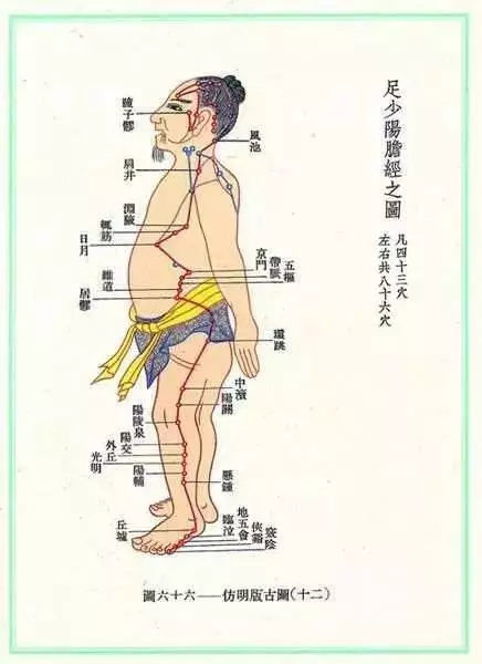 這條經絡很神奇,每天敲50下!竟能排毒、養氣血,還能排掉脂肪?(養身瘦身都該看看)